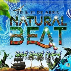 Ecological - Natural Beat  (Original Mix)