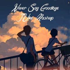 Never Say Goodbye (Never Change X To Say Goodbye Mashup)