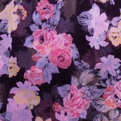 study hard, party smart <3