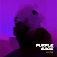 9th Sage - Purple Sage [MIX]