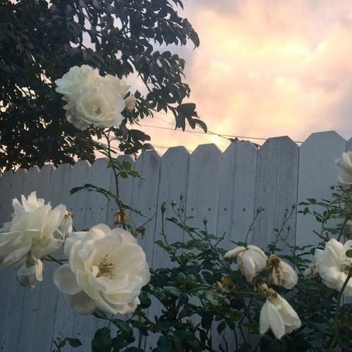 foreign forest x corey slabs - last year (prod.lilsp00k)