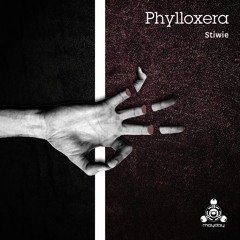 Stiwie - Phylloxera (Hi-Tech Minimal)