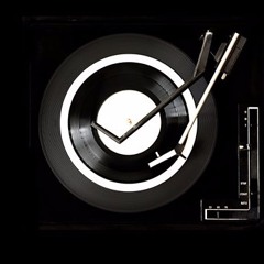 'ANIMAL BITRATE' album by MODWUMP out JULY 26 on Submarine Broadcasting Co.