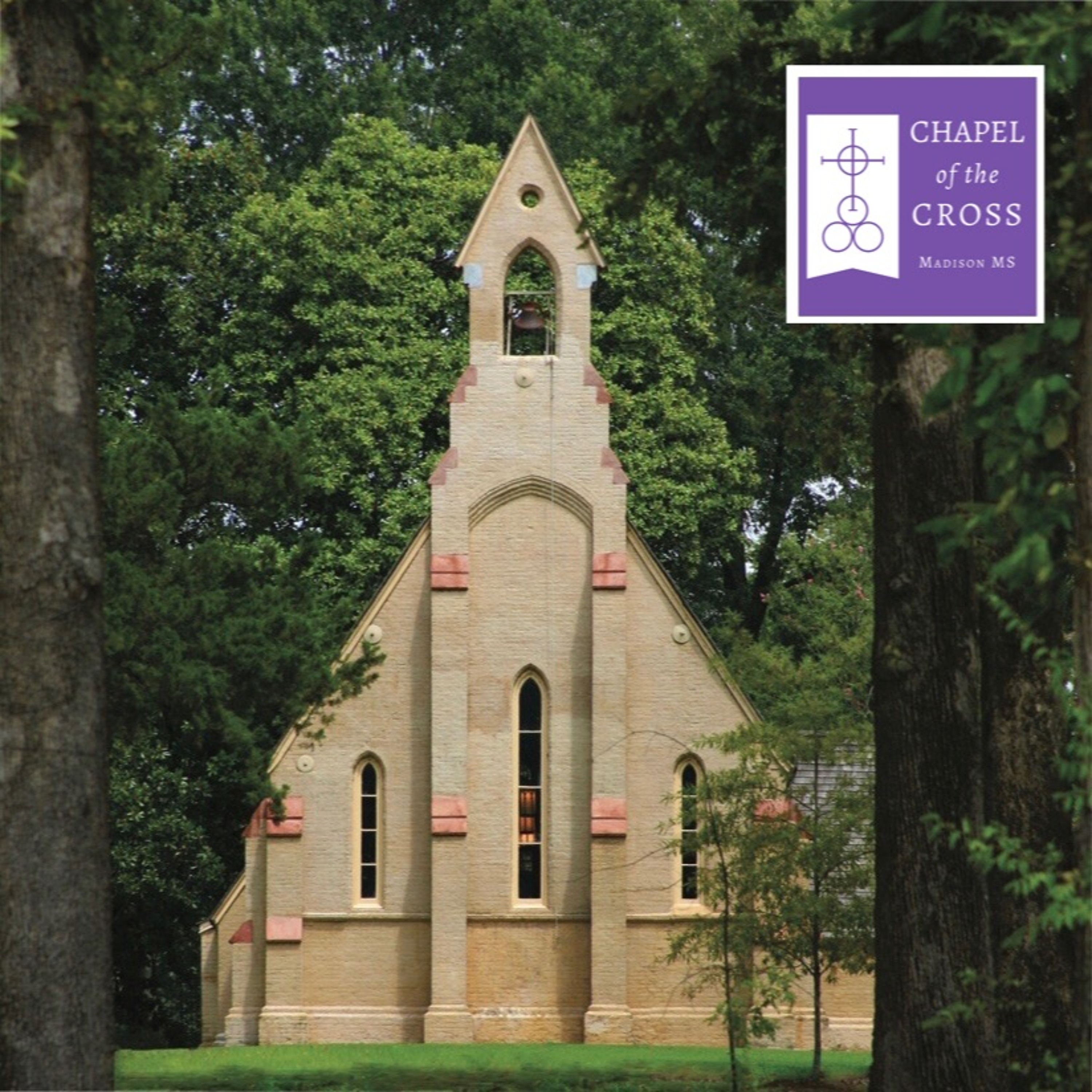 Sunday Sermons from the Chapel of the Cross