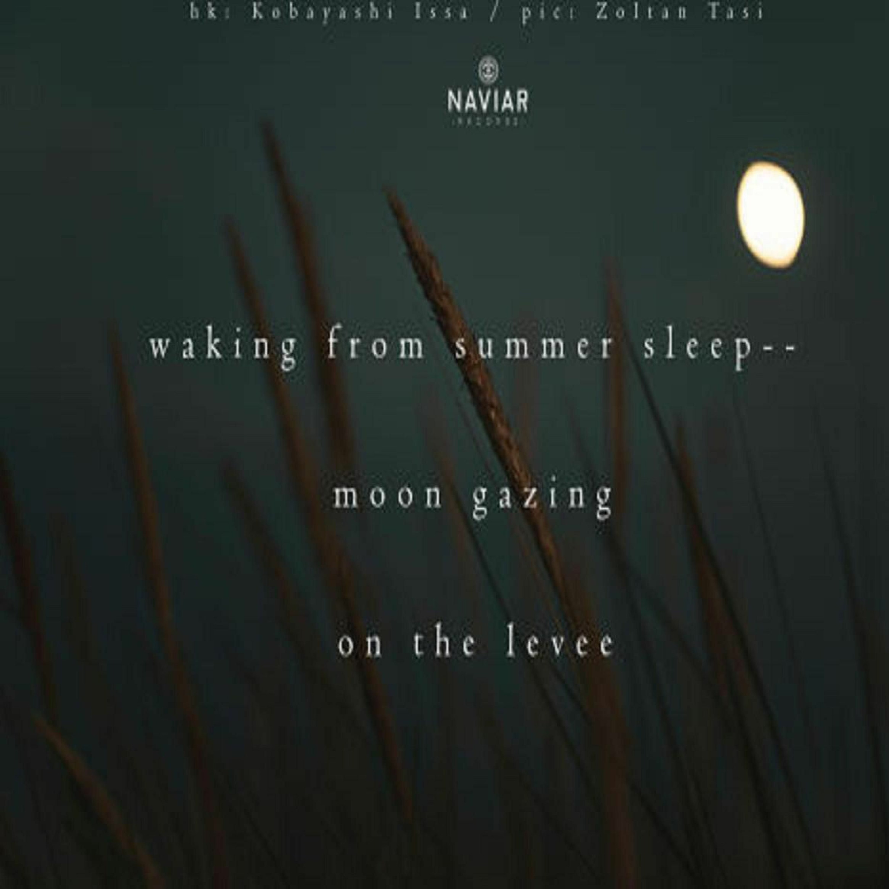 Moon Gazing On The Levee (Naviarhaiku 277) episode artwork