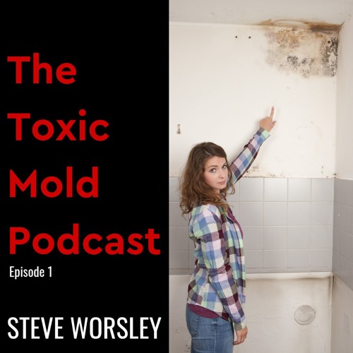 EP 1: Where does toxic mold happen?