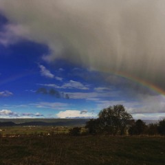 Episode 15: Son of a Rainbow