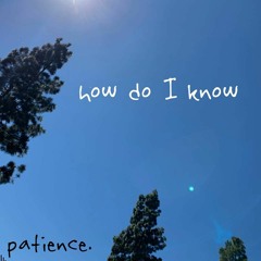 How Do I Know (Prod. by Irvin Roth)
