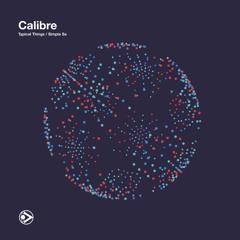 Calibre - Typical Things