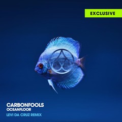 The Carbonfools - Oceanfloor (Levi da Cruz remix)