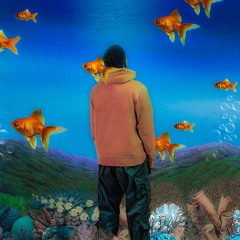 Vince Staples - Big Fish (Rhys&Bill Bootleg) *FREE DOWNLOAD*