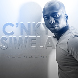 Ngenzeni
