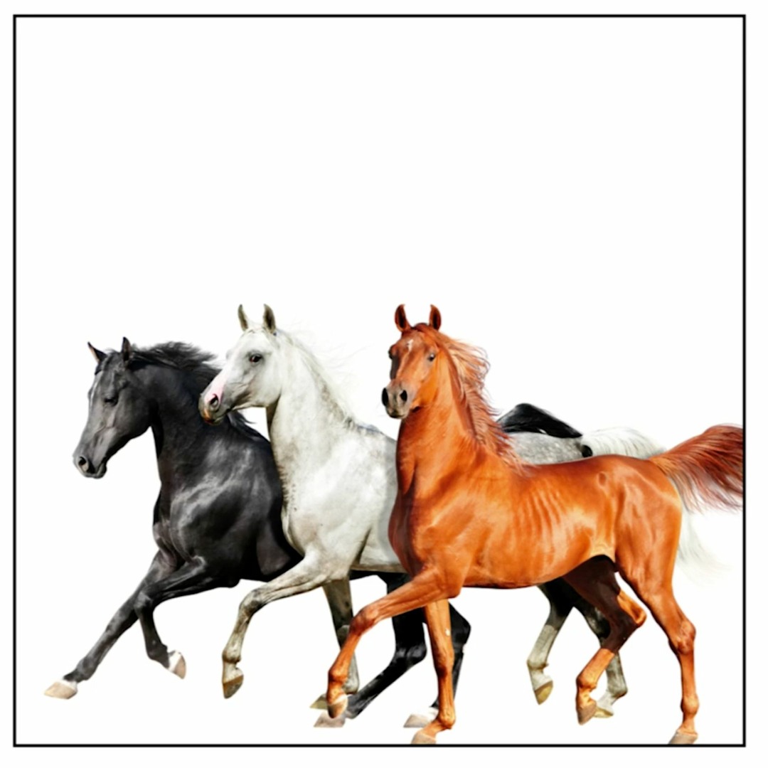artworks-000527458863-b1k3yc-