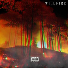 Wildfire