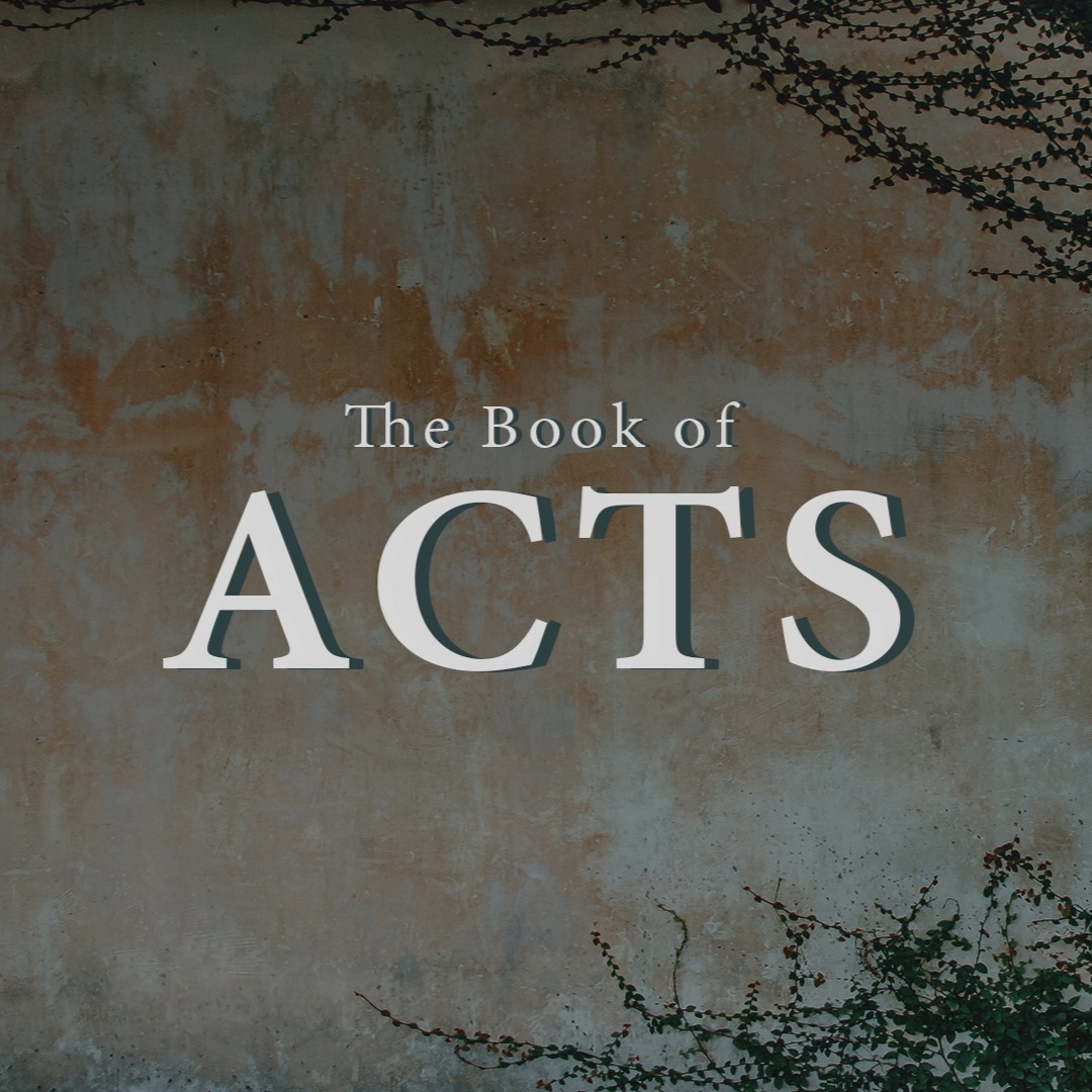 How to Have Healthy Conflict (Acts 22:30-23:35) episode artwork
