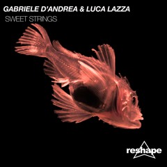 Gabriele D'andrea & Luca Lazza - Sweet Strings