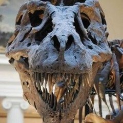 ZABUZA. - FOSSIL (Free download)