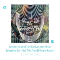 feeder sound exclusive premiere: Sebastian Eric - Not This Time (Primarie Remix)