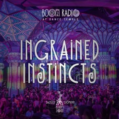 Ingrained Instincts - Dance Temple 30 - Boom Festival 2018