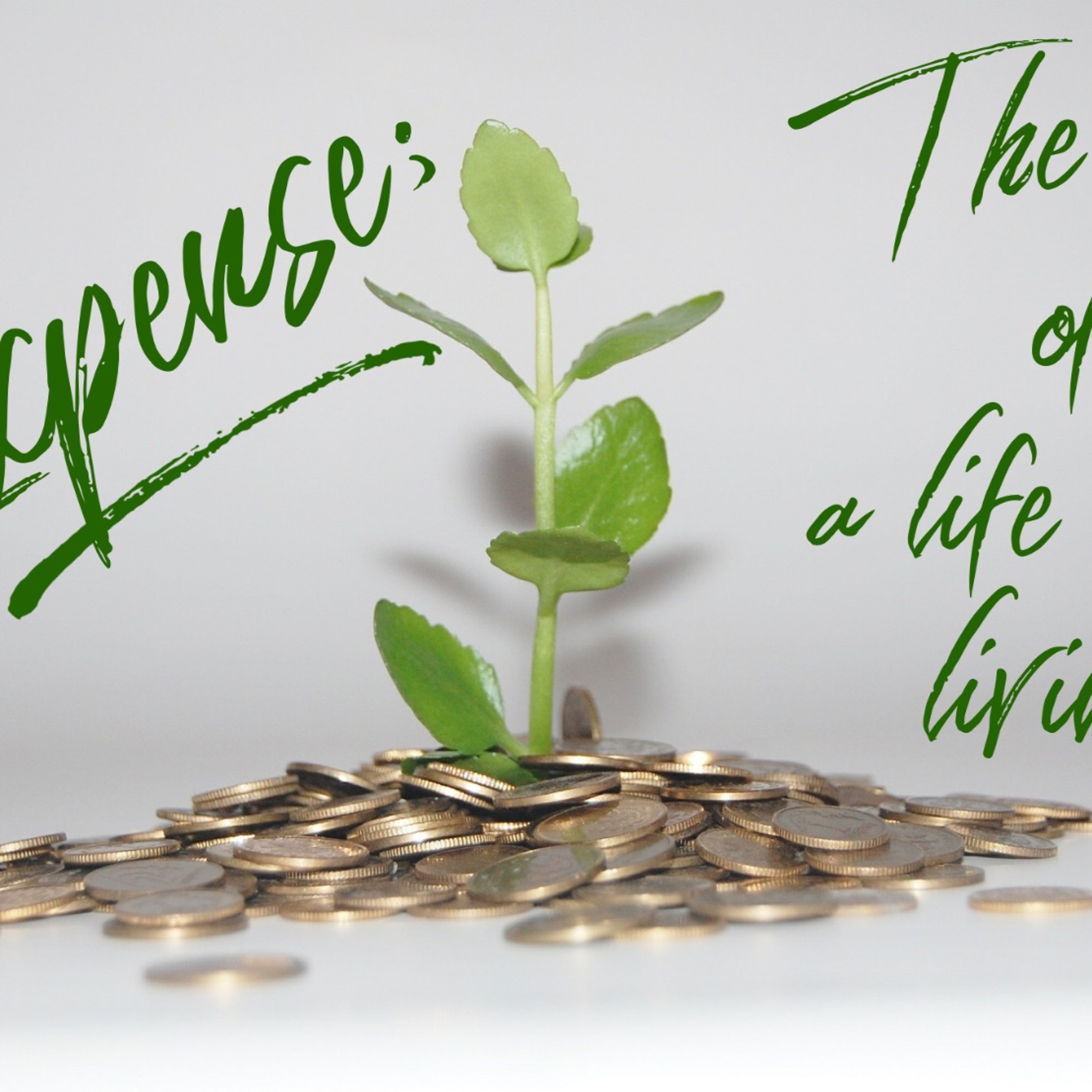 Pastor Dusty 4-28-19 Expense Week 1