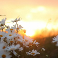 أَمْسَيْـنا وَأَمْسـى المـلكُ لله | أذكار المساء 🍁🌠 سمير البشيري
