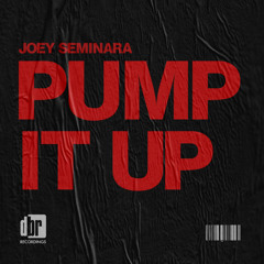 DBR078 : Joey Seminara - Pump It Up (Original Mix)