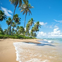 Tropical Beach (Free Download)