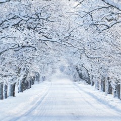 Winter Breezes