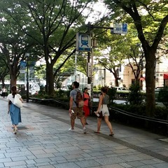 Demo/Sample[BomBomDoxDed]