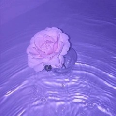 Artists to check out(19 artists // 19 songs )