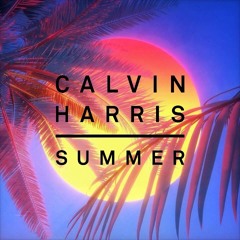 Calvin Harris - Summer (Litty Mix)