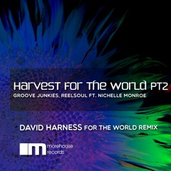 Groove Junkies, Reelsoul ft. Nichelle Monroe HARVEST FOR THE WORLD PT 2 (David Harness Remix - snip)