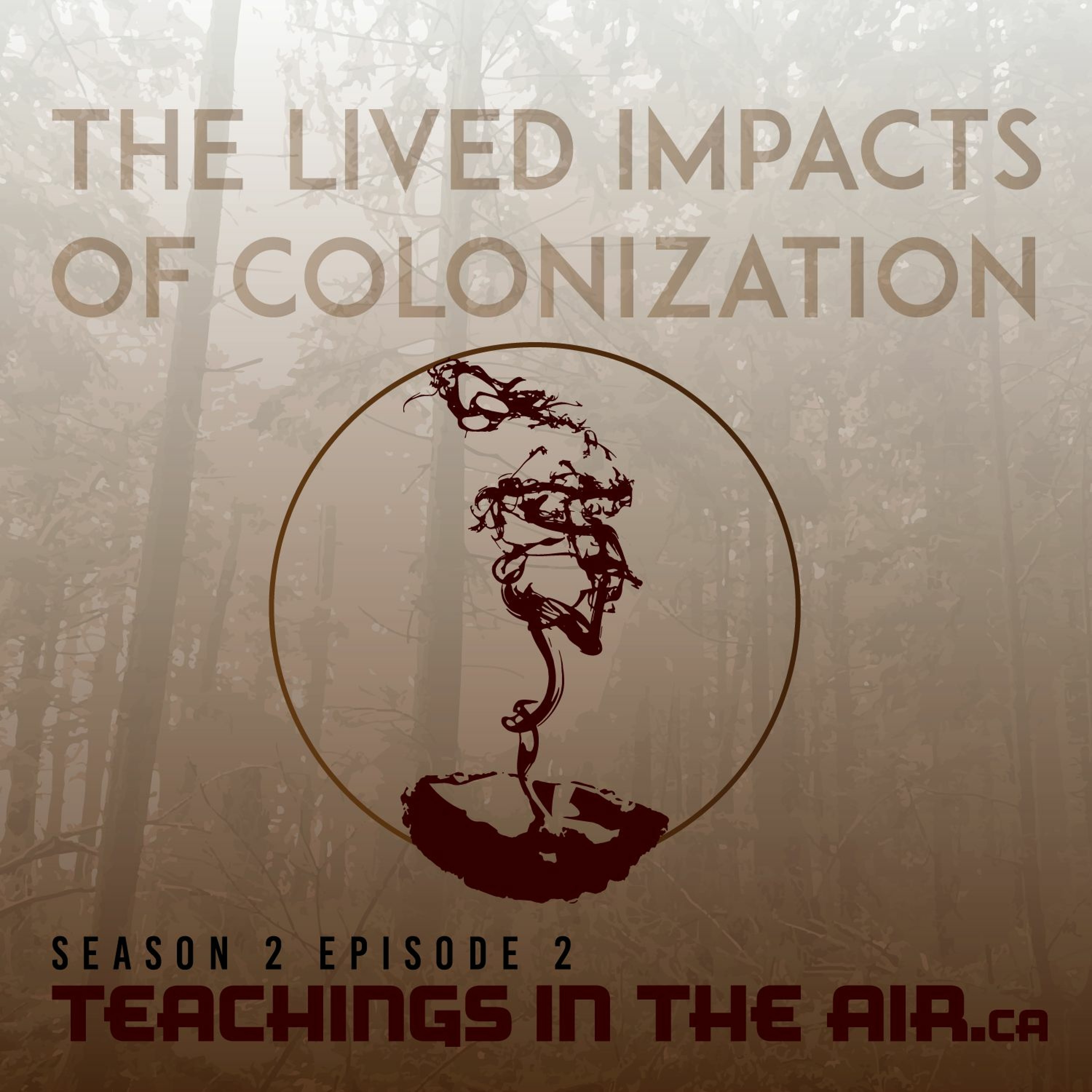 S2 Ep2 - The Impacts of Colonization episode artwork