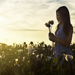 SoundParcel - Meadows Of Eden (Sam Hughes Remix)