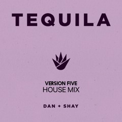 Dan x Shay - Tequila ( Version Five House Mix ) 1B 113