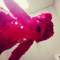 I gave my life to all that was right