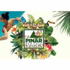 PINAR PARK LIVE SET (AFTER EDITION) - RICON CREW