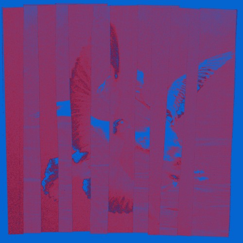 Grebes - One Trick Pony