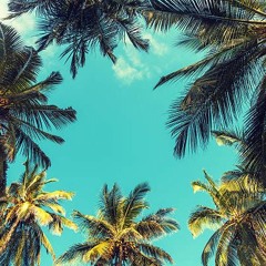 Mall74 - @LoFiHipHop Presents: Lofi Flip Fridays 3