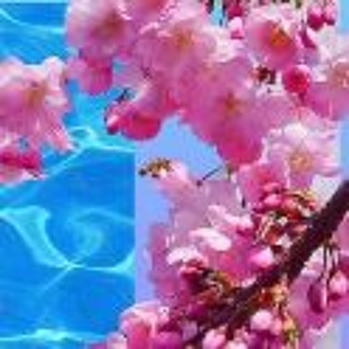 haiku ( 死んでいる) - ｔｅａｒｓ (w/ safari)