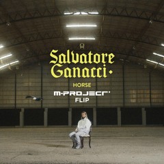 Salvatore Ganacci - Horse (M-Project Flip) ***Free DL***