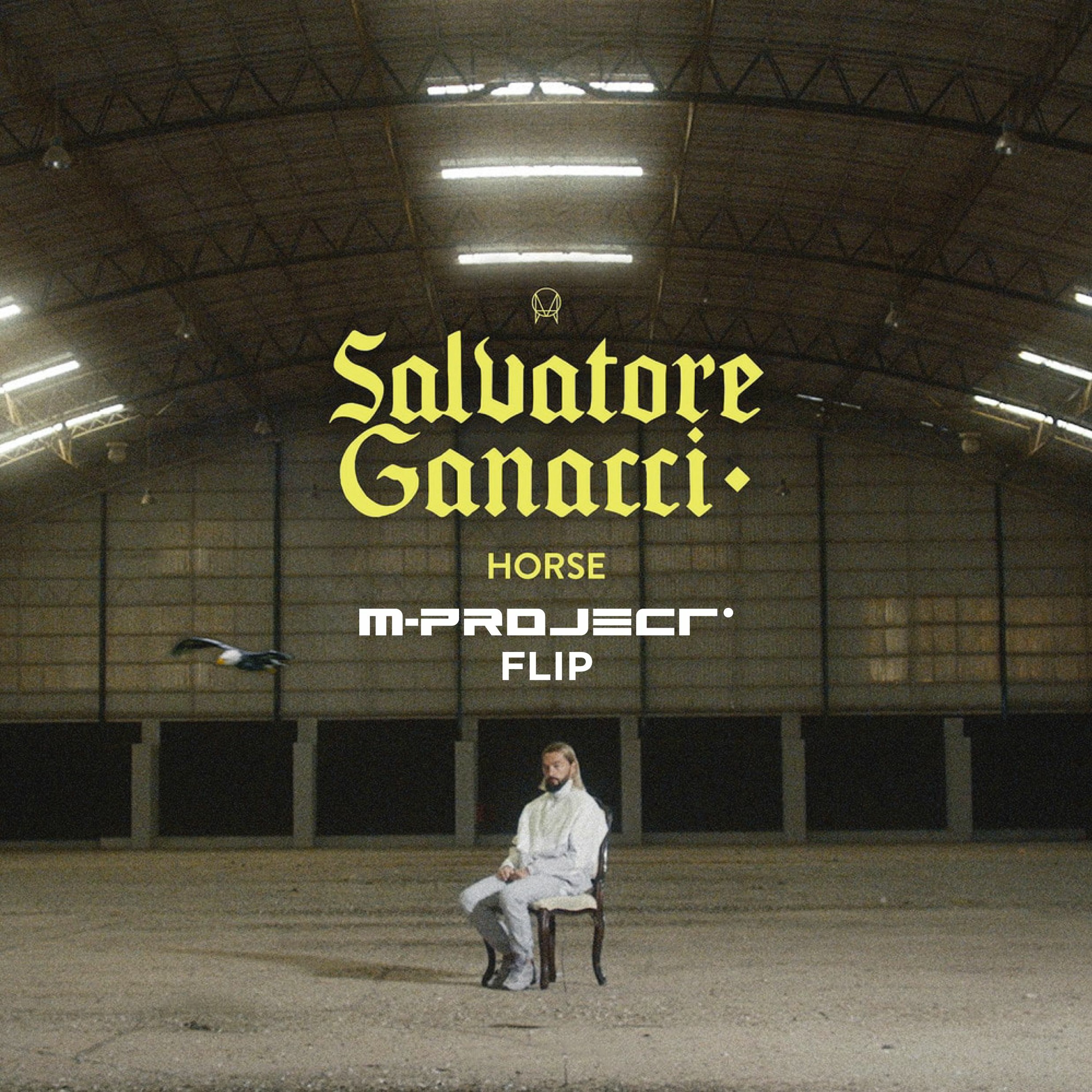 Salvatore Ganacci - Horse (M-Project Flip) ***Free DL*** episode artwork