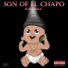 Son Of El Chapo