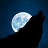 MOONLIGHT - ALONE FT J.WORDS // BEAT LOKIOWEED