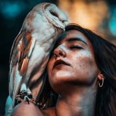 my mix playlist