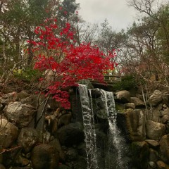 日出时的瀑布 (Waterfall at Sunrise)