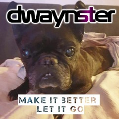 Make It Better - Let it Go (Dwaynster Mashup)