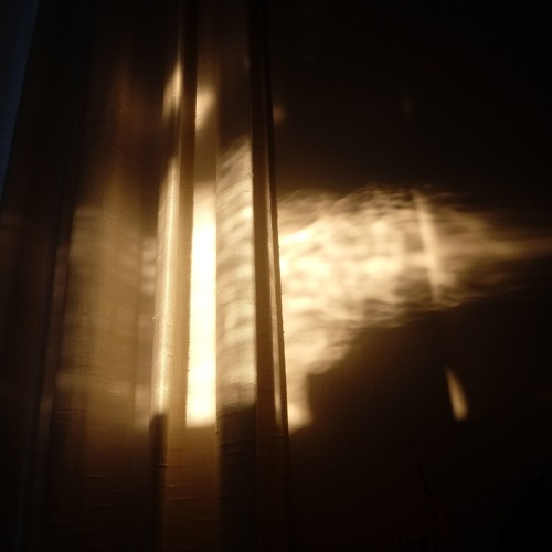 Aurora Flux - First Light