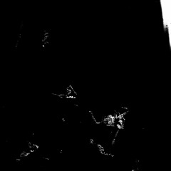 Mathew Jonson - Marionette x Theodore Roethke - The Waking