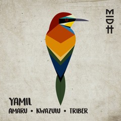 PREMIERE : Yamil - Amaru (Original Mix)  [Madorasindahouse Records]